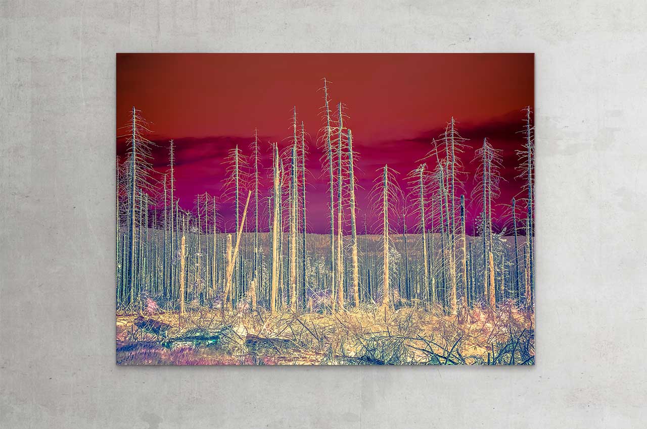 wittbronsky_TourdeNature