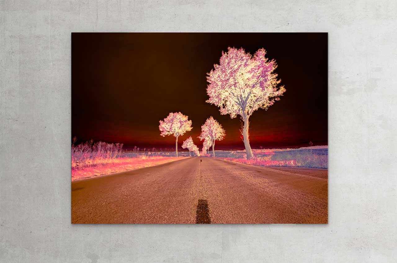wittbronsky_TourdeNature