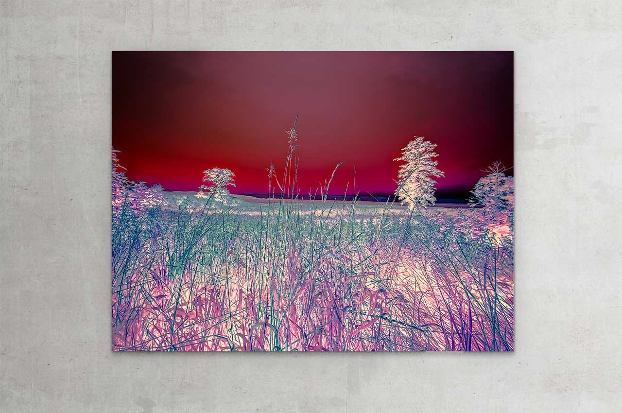 wittbronsky_TourdeNature