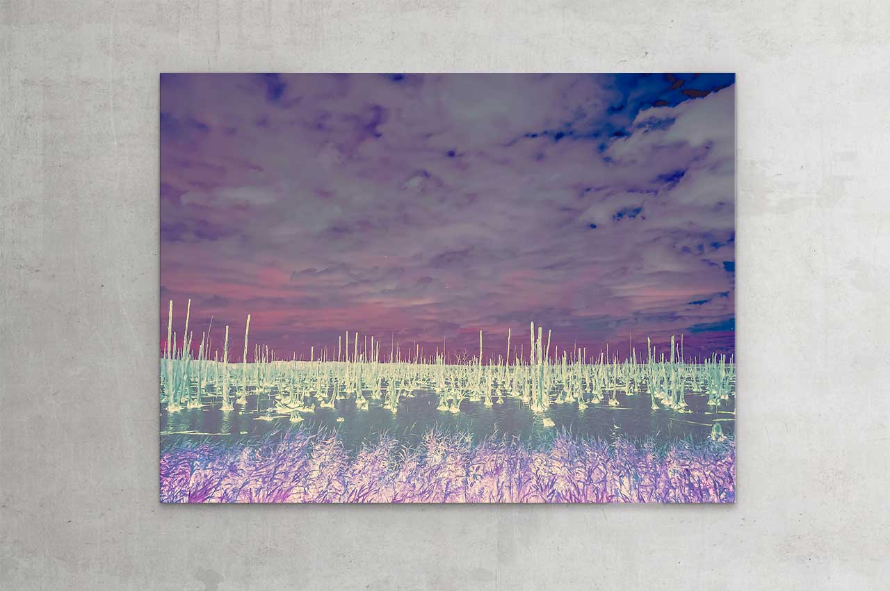 wittbronsky_TourdeNature
