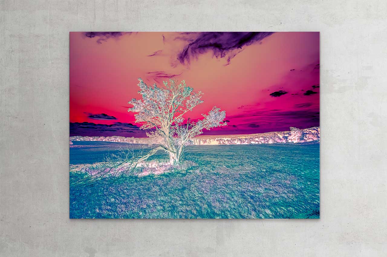 wittbronsky_TourdeNature
