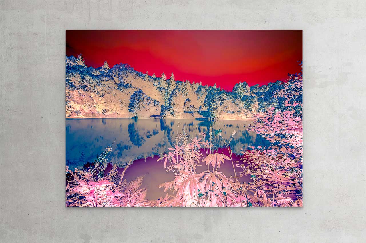 wittbronsky_TourdeNature