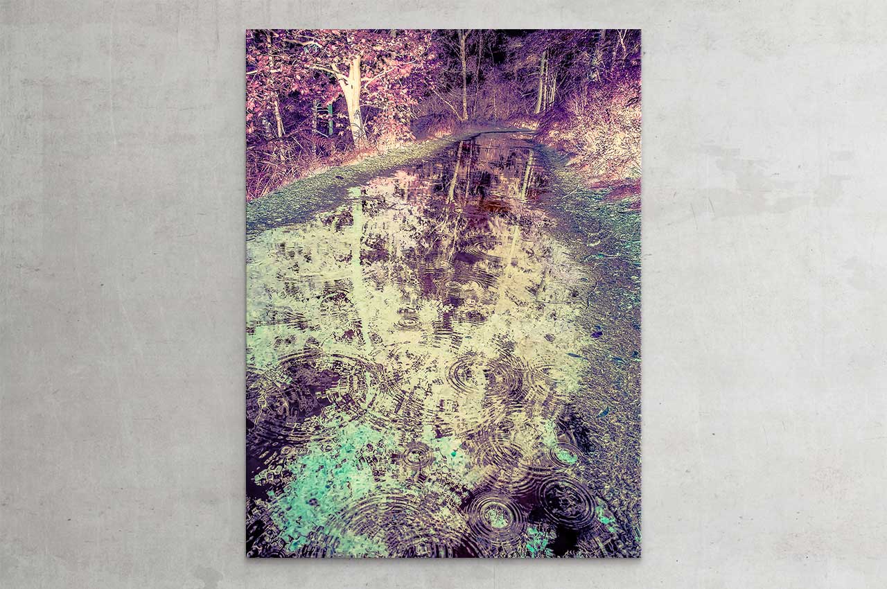 wittbronsky_TourdeNature