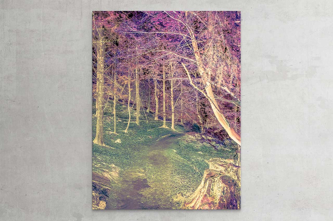 wittbronsky_TourdeNature