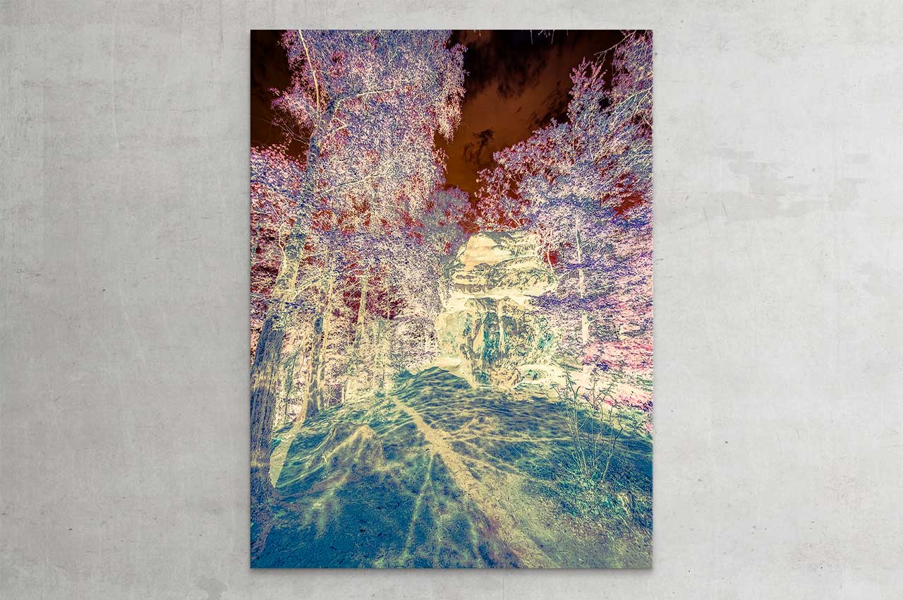 wittbronsky_TourdeNature