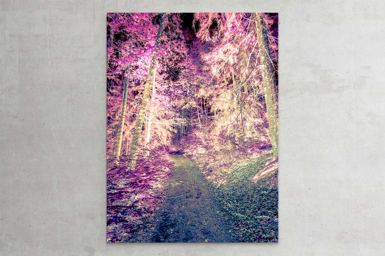 wittbronsky_TourdeNature