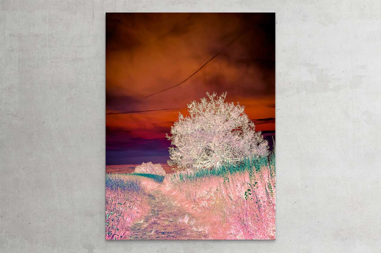 wittbronsky_TourdeNature