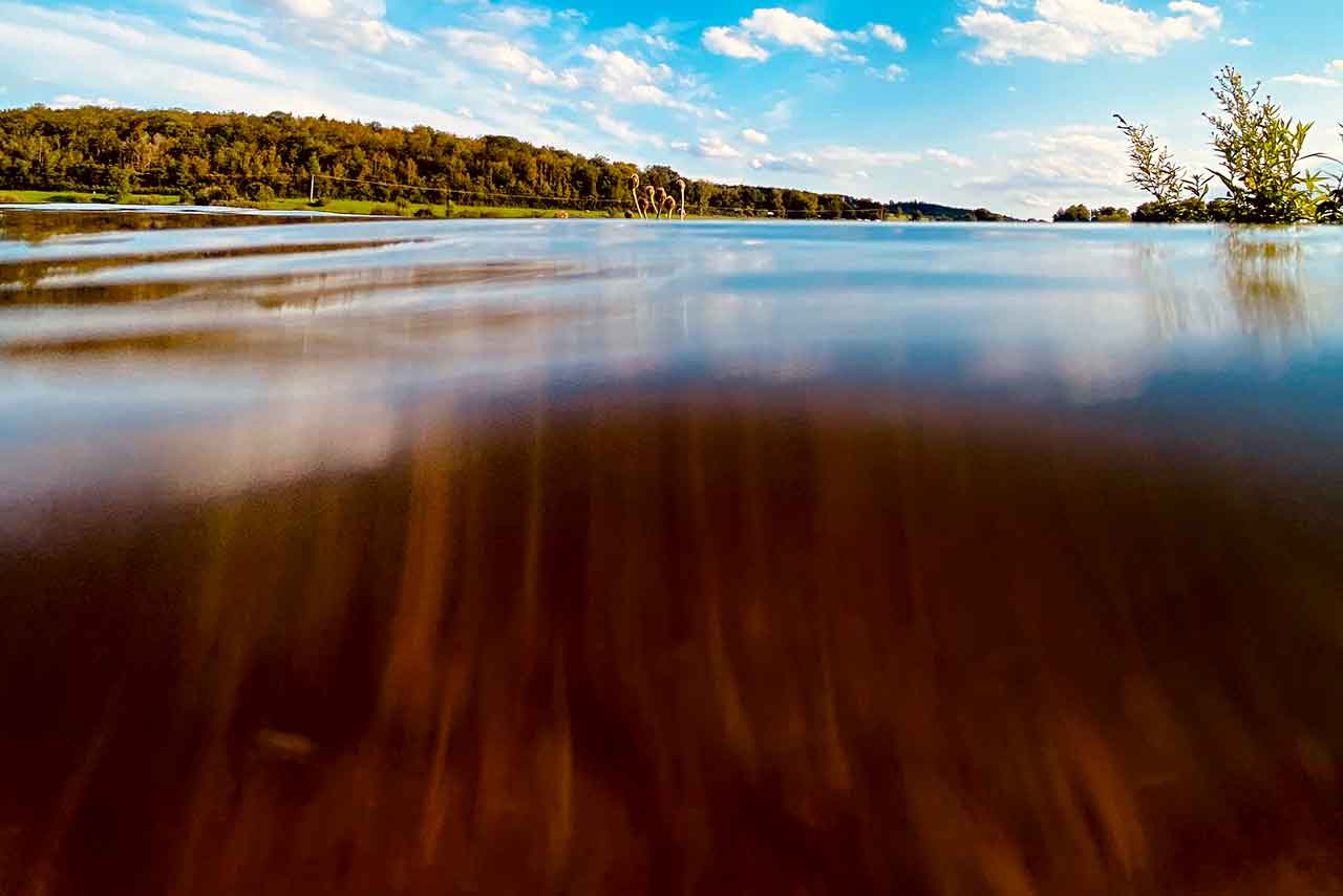 Blick halb unter Wasser auf ruhigen Fluss, darüber blauer Himmel mit Wolken, Ufer mit Bäumen im Hintergrund.